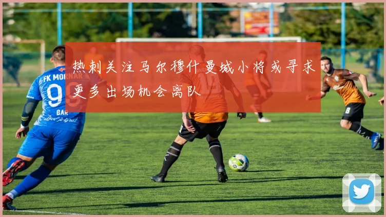 热刺关注马尔穆什曼城小将或寻求更多出场机会离队